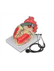VALUE HEART - 3 parts - 3X