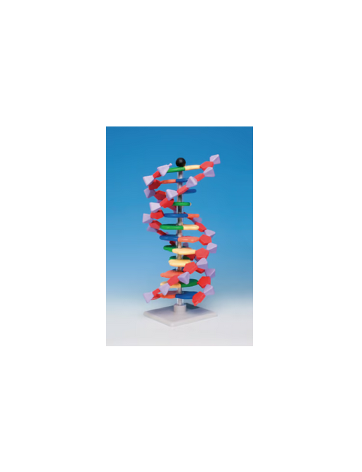 Molekülbaukastensystem miniDNA® / RNA Kits