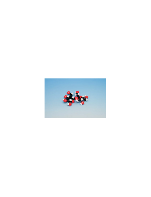 Molekülmodelle, Makromoleküle, organisch Molymod®