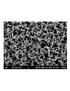 Filtre à membrane type NC, nitrate de cellulose