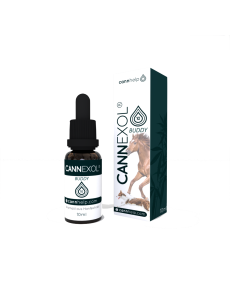 Cannhelp – Cannexol Buddy – CBD Oil for Animals 10% (1,000mg / 3,000mg) – 30ml